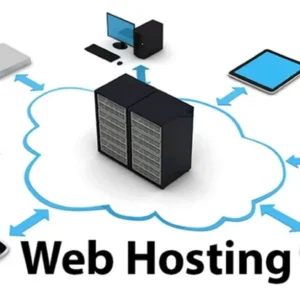 Single Web Hosting