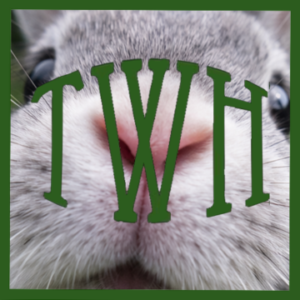 Pagan Community Notes:  March 19, 2026