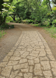 The Long Walk to the Self: New Study Explores How Pilgrimages Transform the Spirit