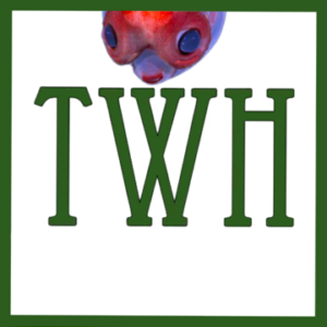 Pagan Community Notes:  Week of June 11, 2026