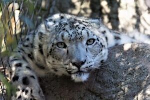 We’re All Gaia’s Children