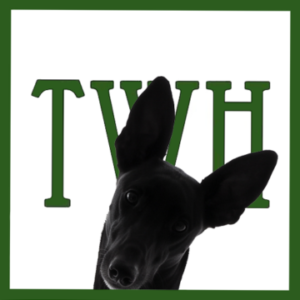Release the Hounds! Wait… What?