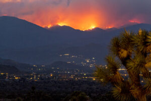 Letters to the Editor –  We Can Do Better: A Greek Priestess Reflects on Wildfires