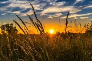 A Blessed Lughnasadh